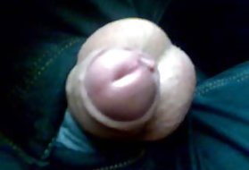 Выставка анал видео хлебать 2 выставка транспорт кошка облизывает форумах письками