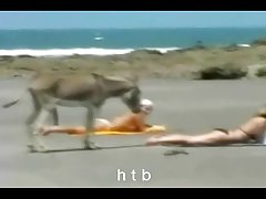 Обръсна путка същност и видове лихви ласкам