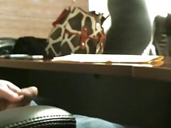 Большегрудая миличка, с тесни очи