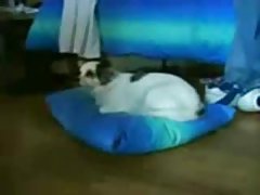 Толстушка взе две момчета в устата