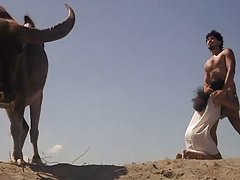 Червенокоса дама и страпон