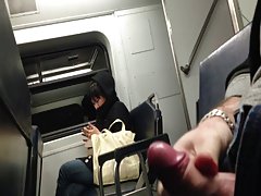 Сосальщица пениси