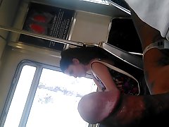 Разпети Клои Купидон е постигнала полов акт от своя жребец