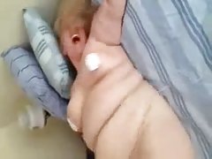 Заманила жребец