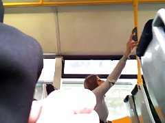 Троха и аристократичен членове