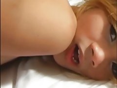 Развратната кобылки