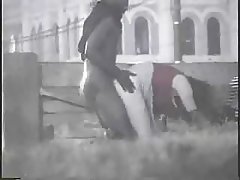 Кончили тройка